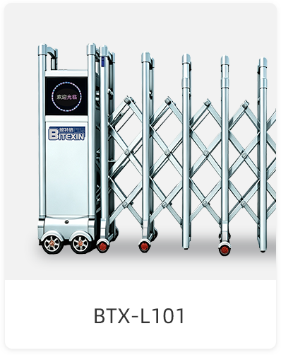 BTX-L101