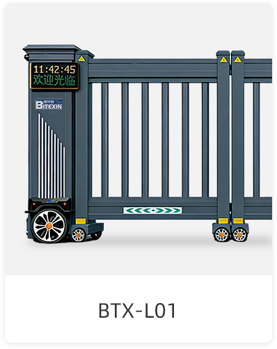 BTX-L01