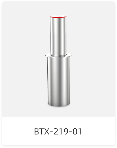 BTX-219-01