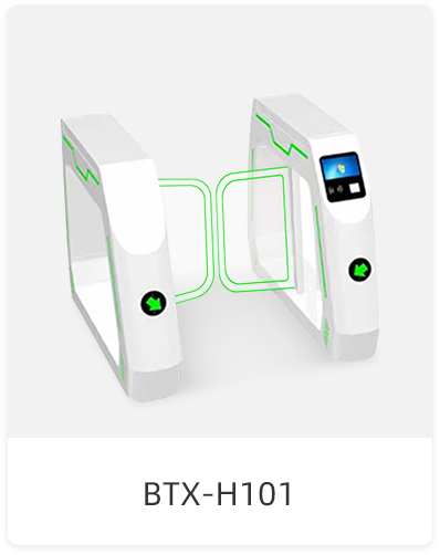 BTX-H101