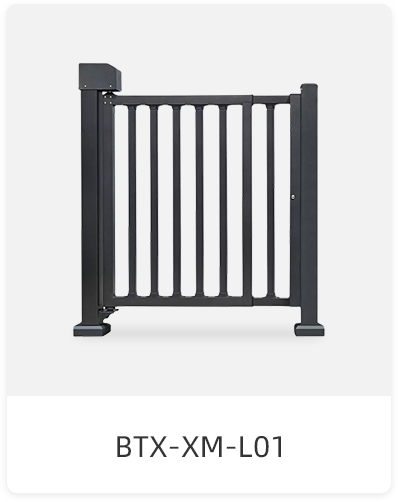 BTX-XM-L01