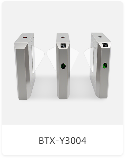 BTX-Y3004